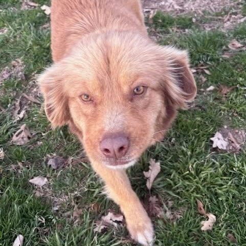 Sadie — thumbnail 3