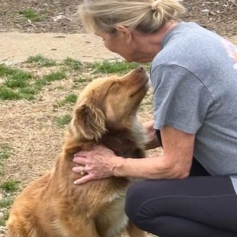 Sadie — thumbnail 4