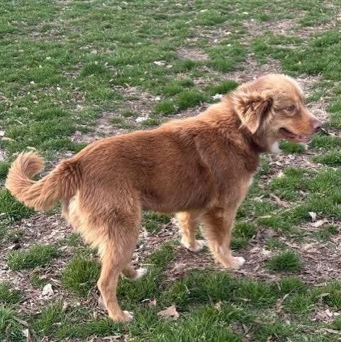 Sadie — thumbnail 5