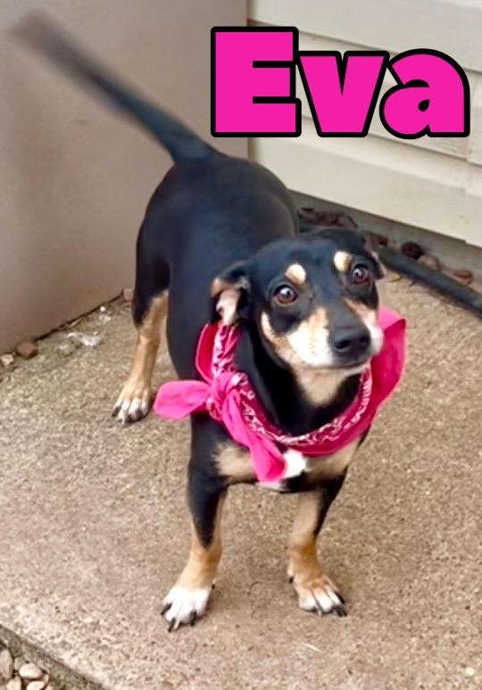 Eva in Texarkana TX