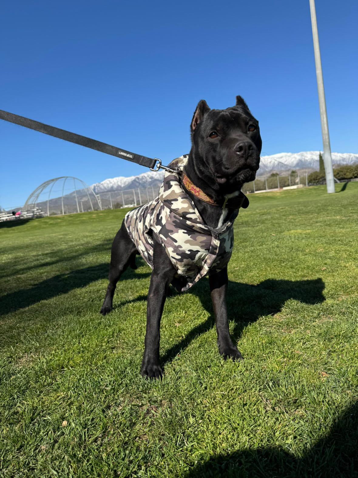 Zeus