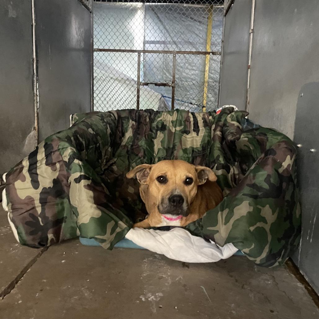 Psylocke — thumbnail 3