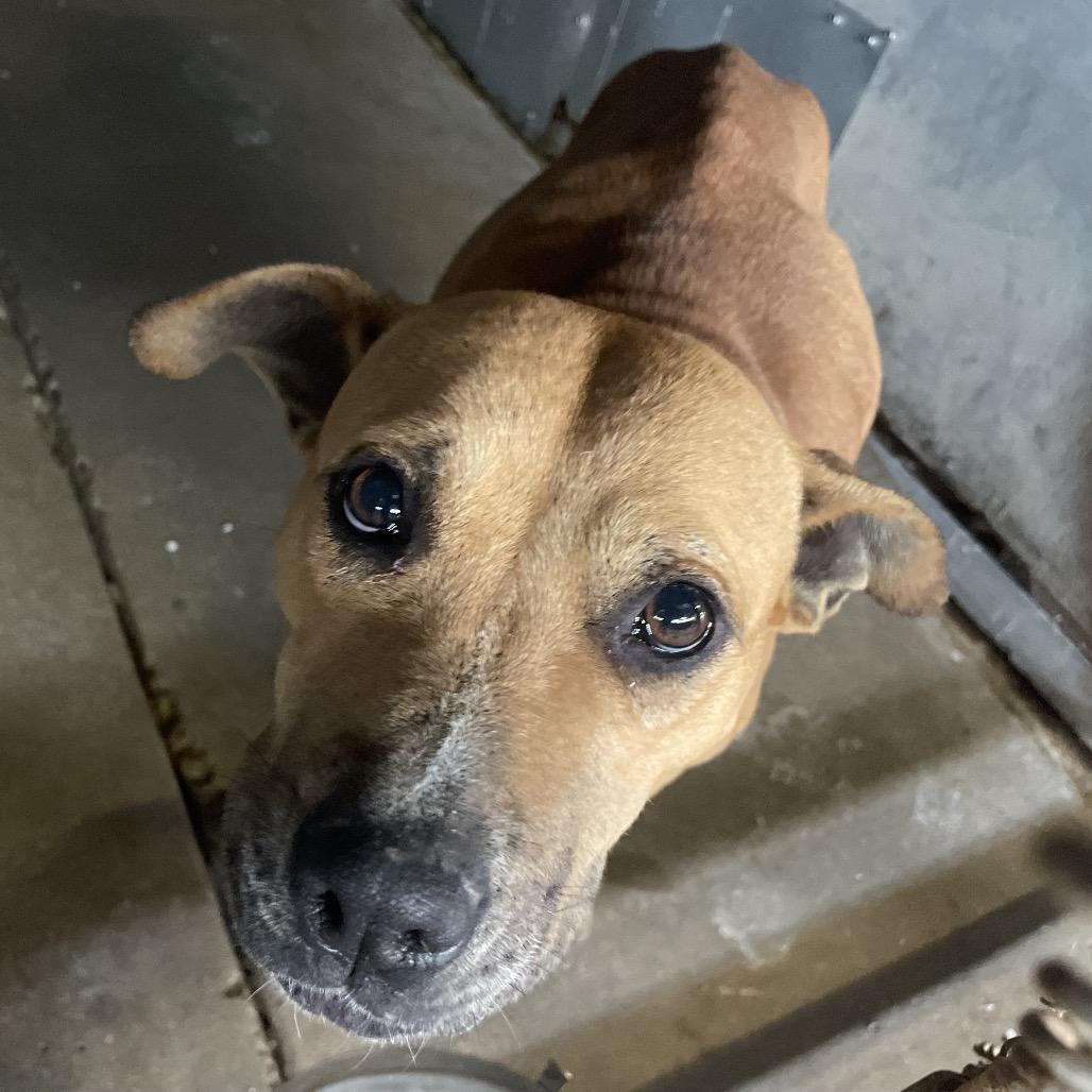 Psylocke — thumbnail 4