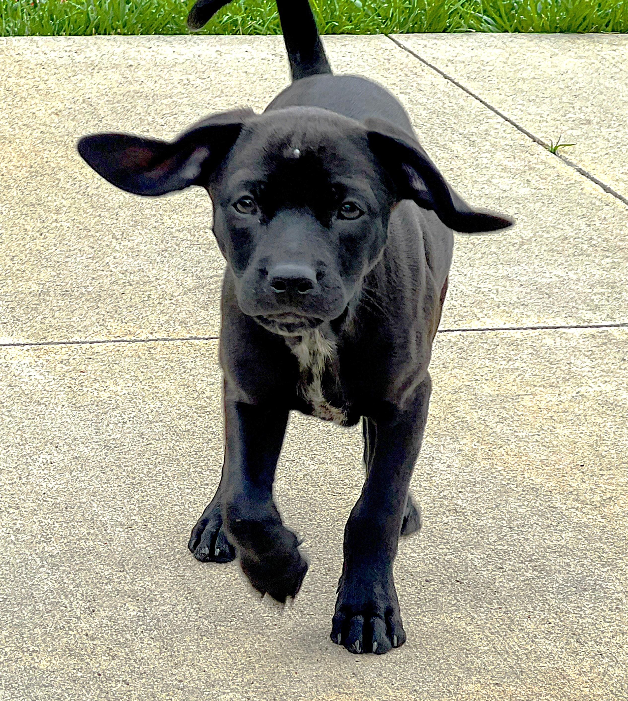 Winnie