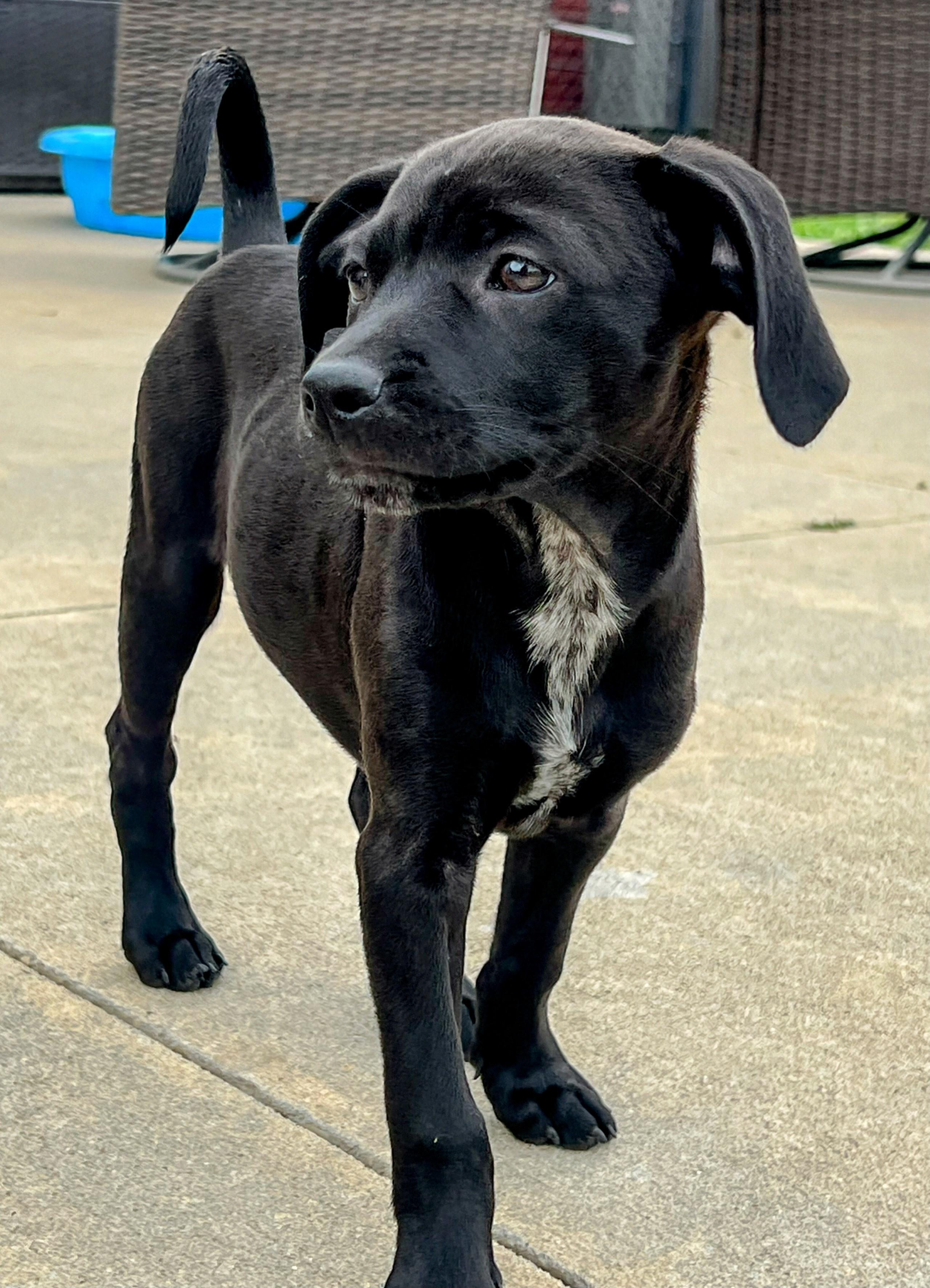 Winnie