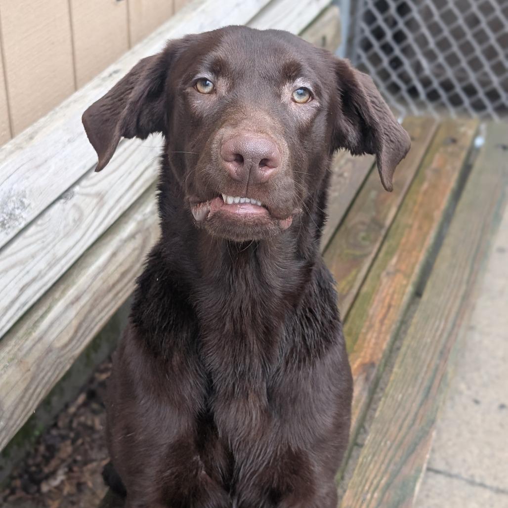 Eros — thumbnail 2