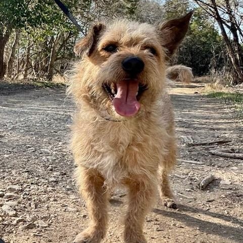 Little Man — thumbnail 3