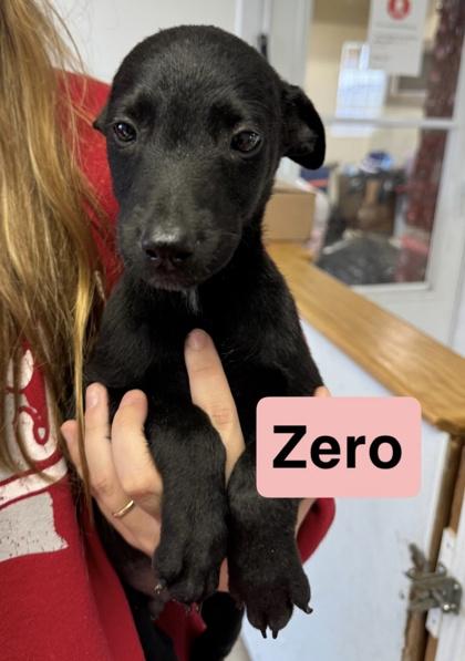 Zero photo