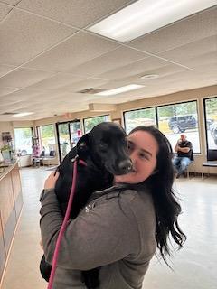 Mary, a ADOPTABLE mixed breed in Warrington, PA image 5/6