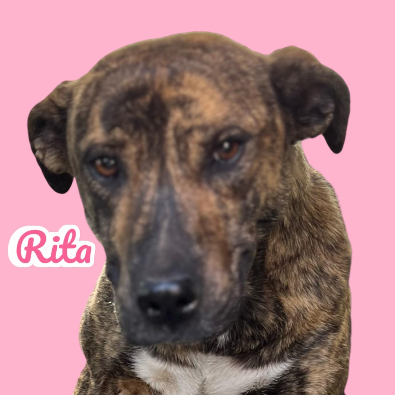 RITA