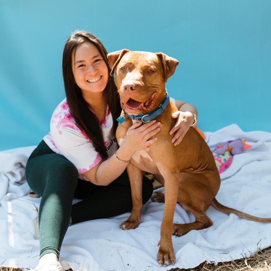 Enlarge Charles Barkley, a Adoptable Mixed Breed in Houston, TX image 2/6