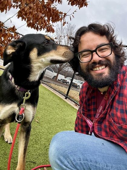 Enlarge Devin, a Adoptable mixed breed in Wichita, KS image 3/6