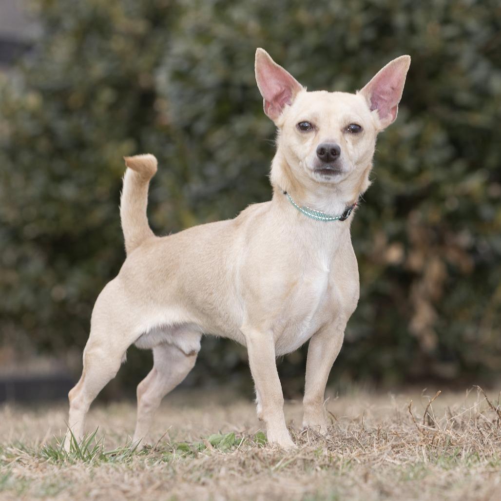 Snoop — thumbnail 2