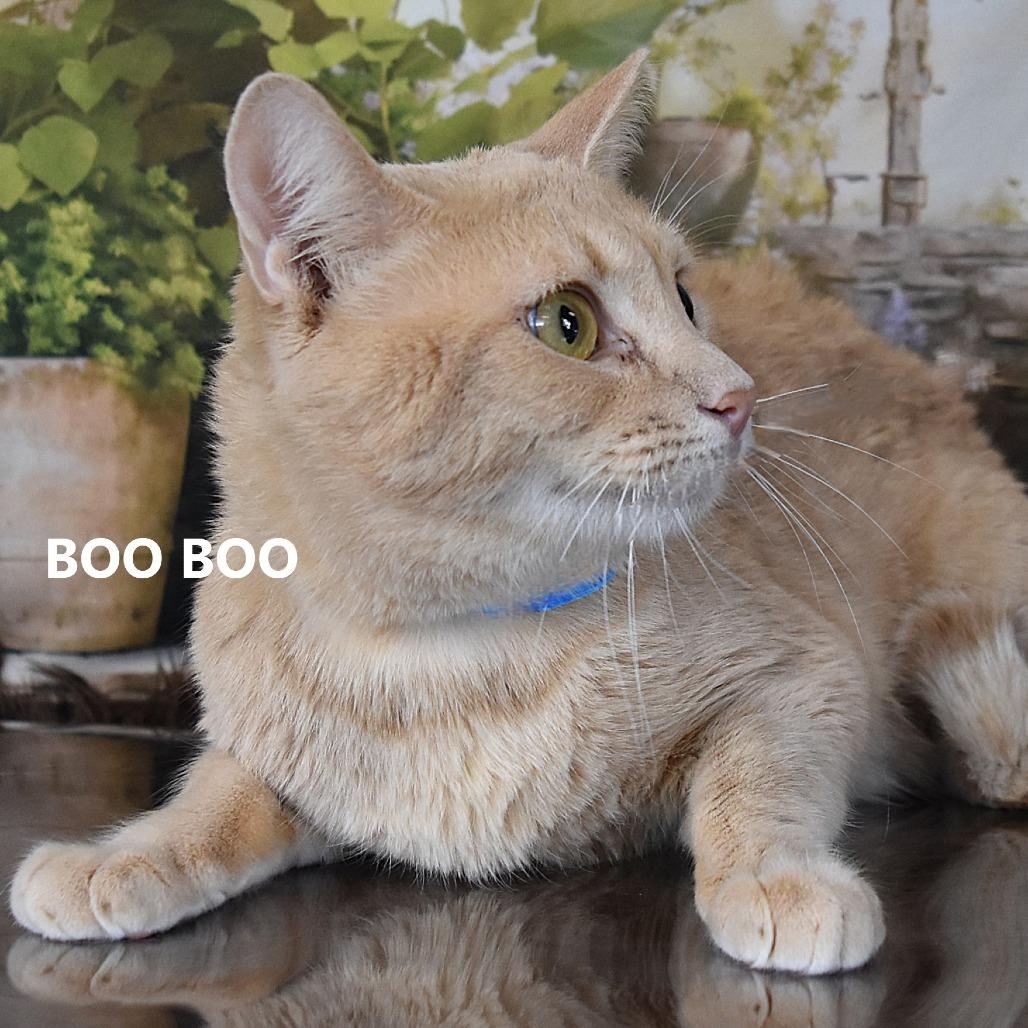 Sundial — thumbnail 3