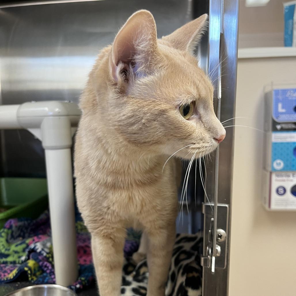 Sundial — thumbnail 4