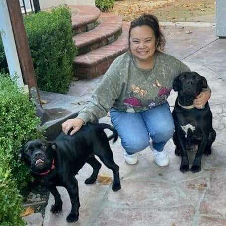 Fruity Girls, a Adoptable mixed breed in Pittsburg, CA image 2/6