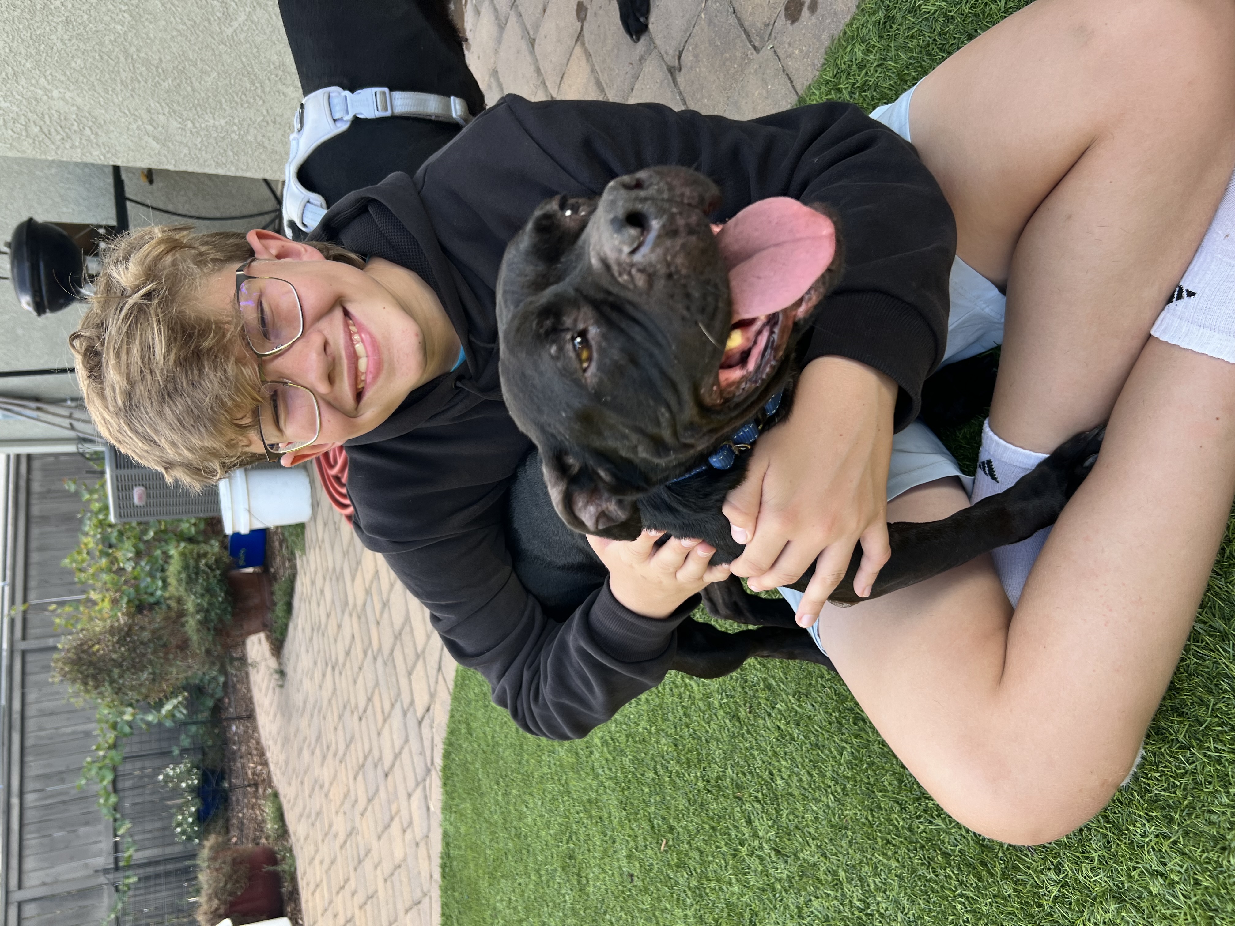 Fruity Girls, a Adoptable mixed breed in Pittsburg, CA image 4/6