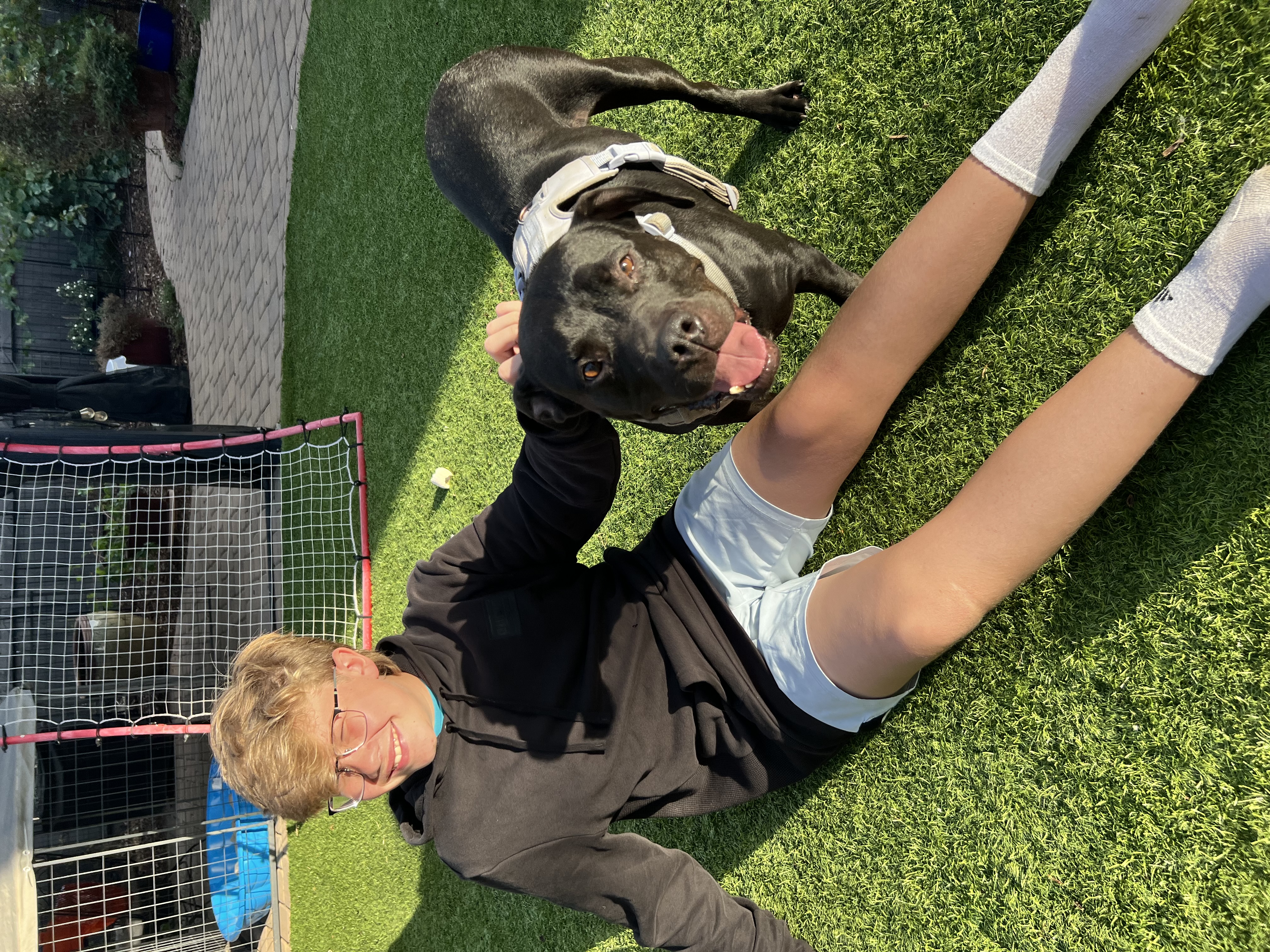 Fruity Girls, a Adoptable mixed breed in Pittsburg, CA image 6/6