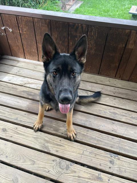 Bella