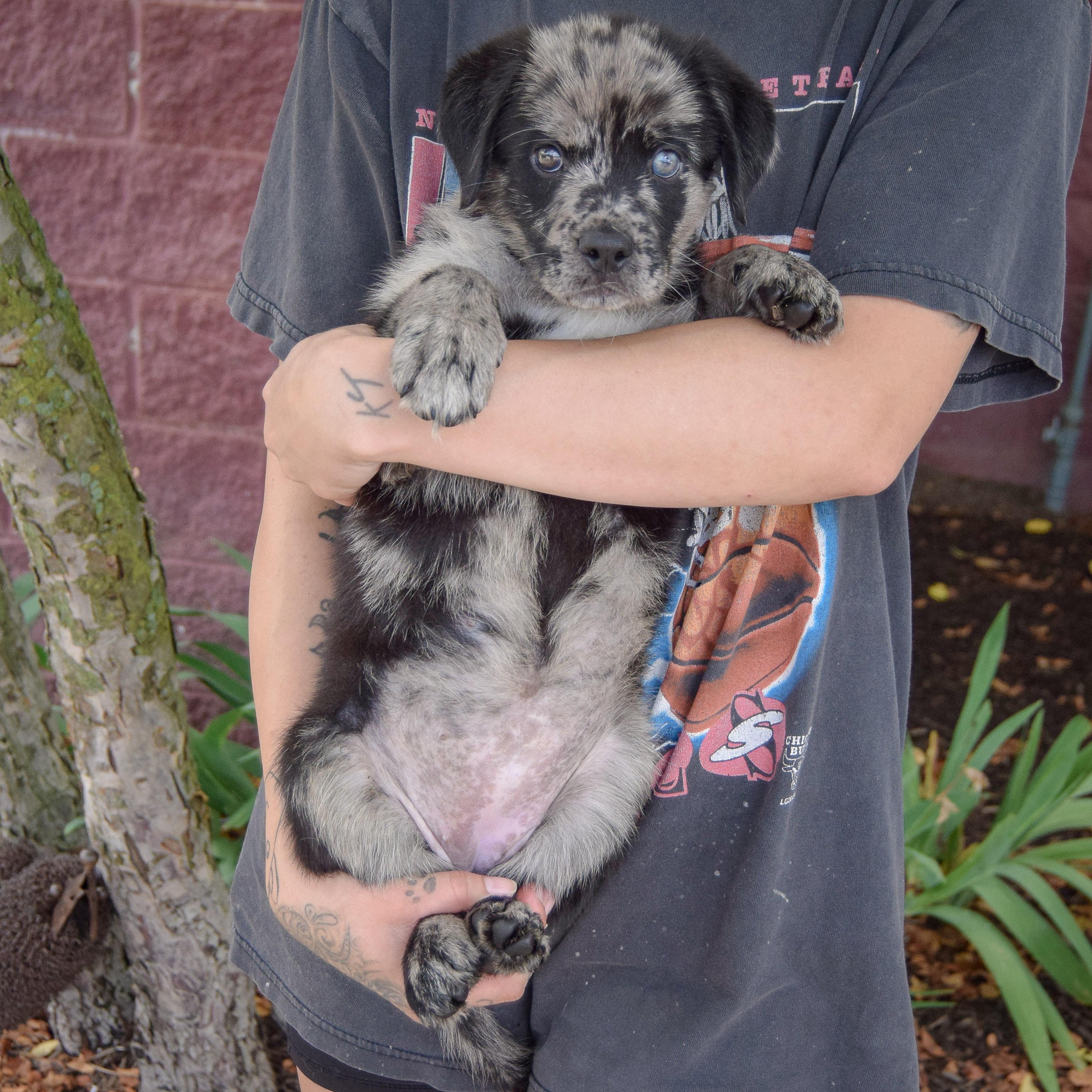 Junebug photo 4