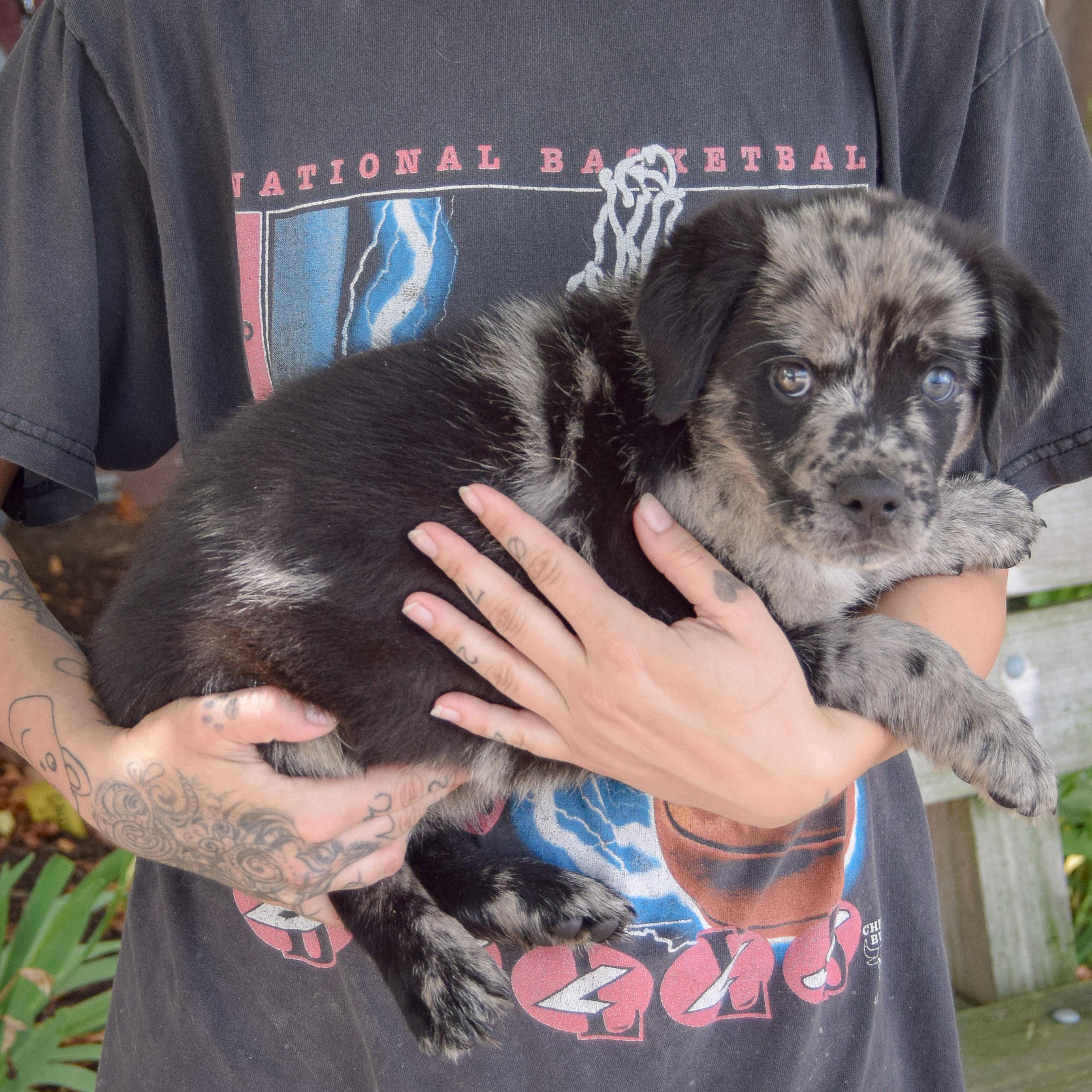 Junebug photo 2