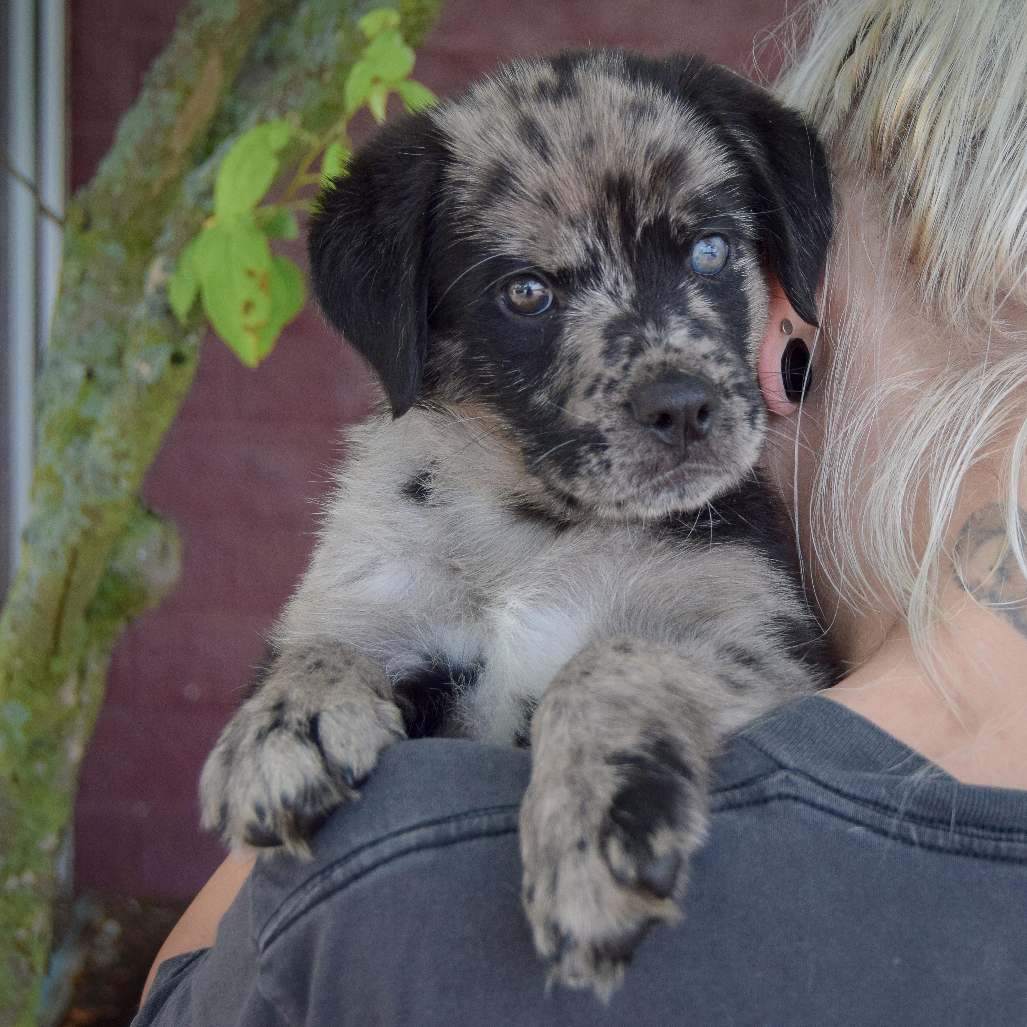 Junebug photo 3