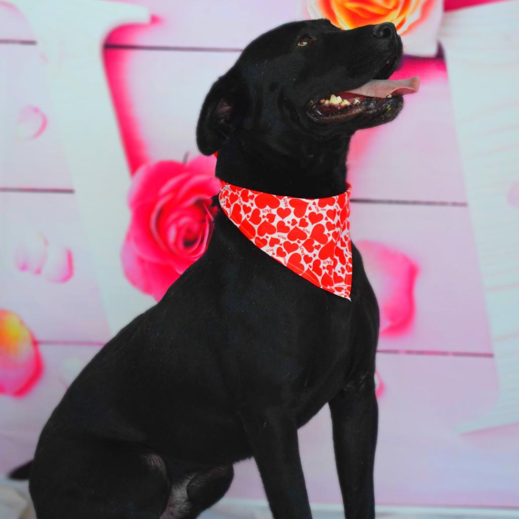 Evan aka Quint JuM — thumbnail 2