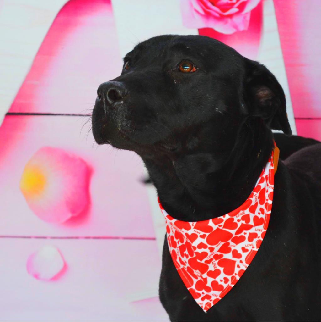 Evan aka Quint JuM — thumbnail 5