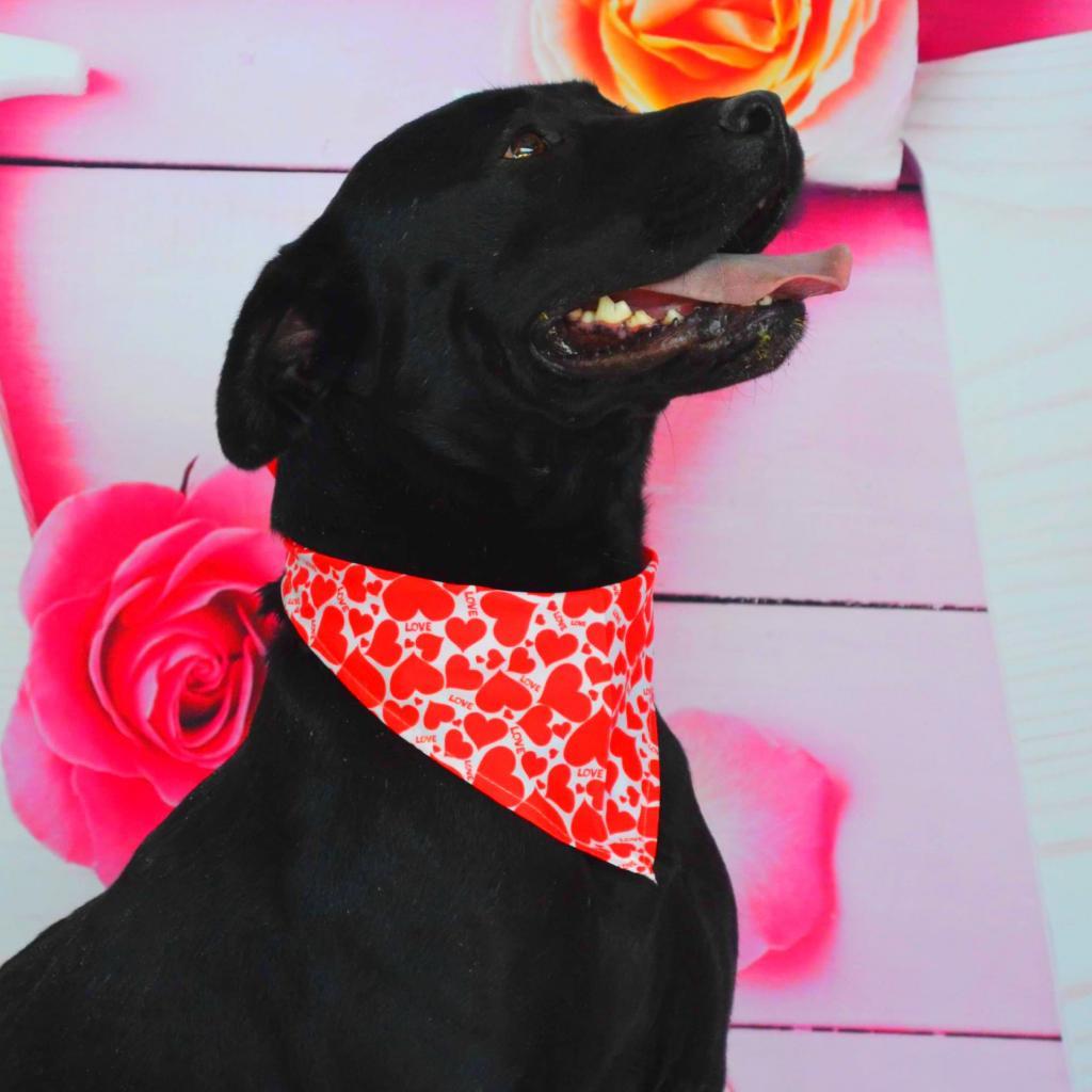 Evan aka Quint JuM — thumbnail 6