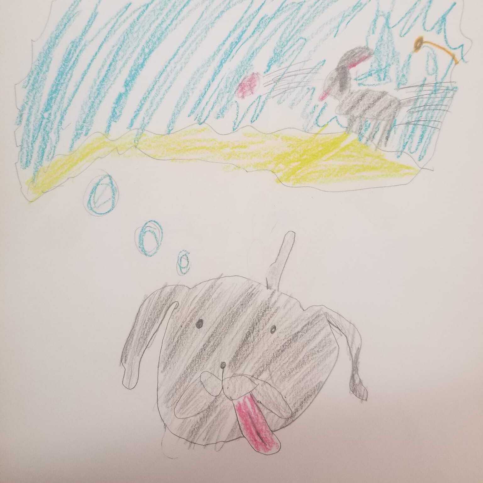 Enlarge Tia Marie, a Adoptable mixed breed in Springfield, MO image 6/6