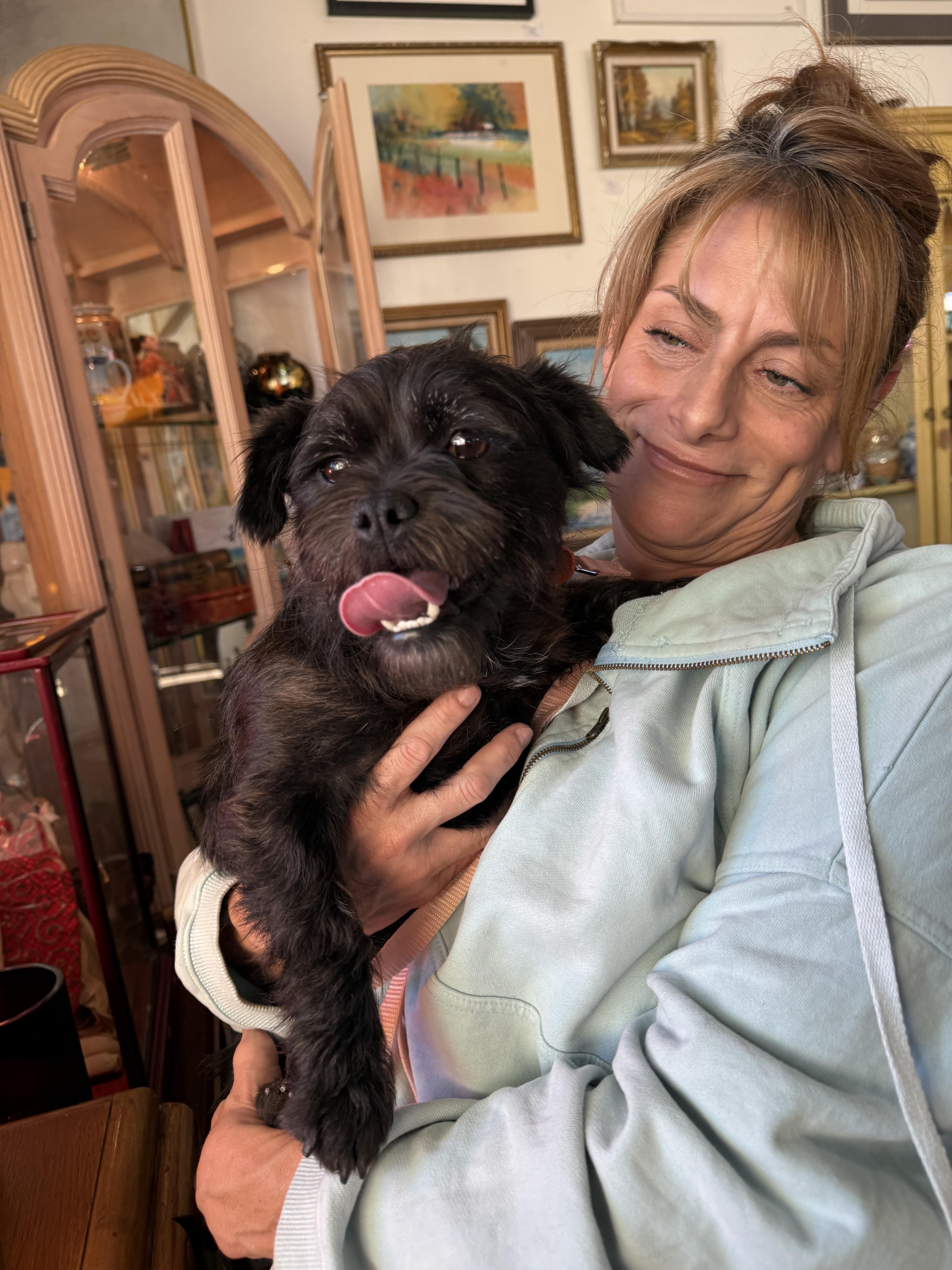 Enlarge Fiona, a ADOPTABLE mixed breed in Glendale, CA image 3/5