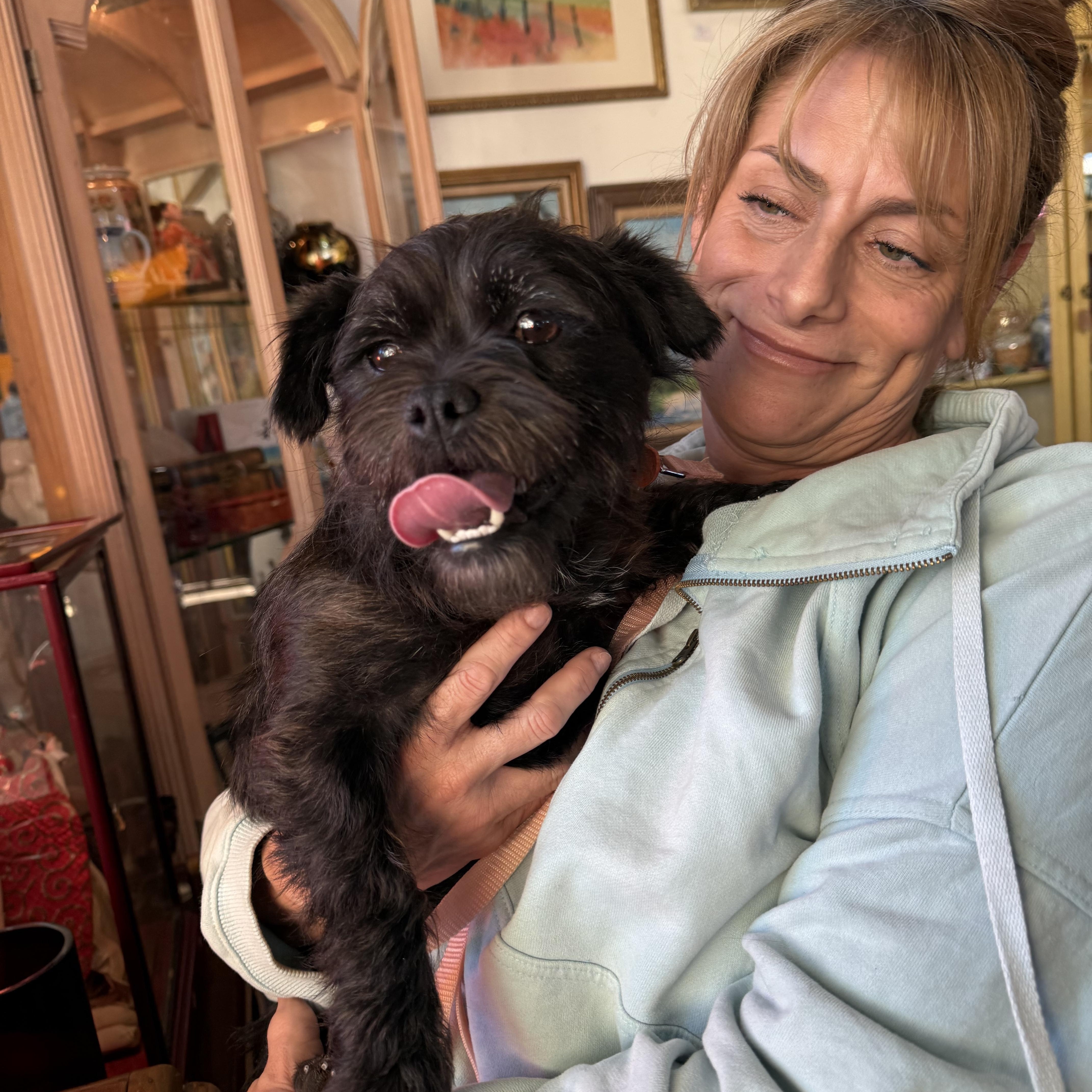 Enlarge Fiona, a ADOPTABLE mixed breed in Glendale, CA image 3/5