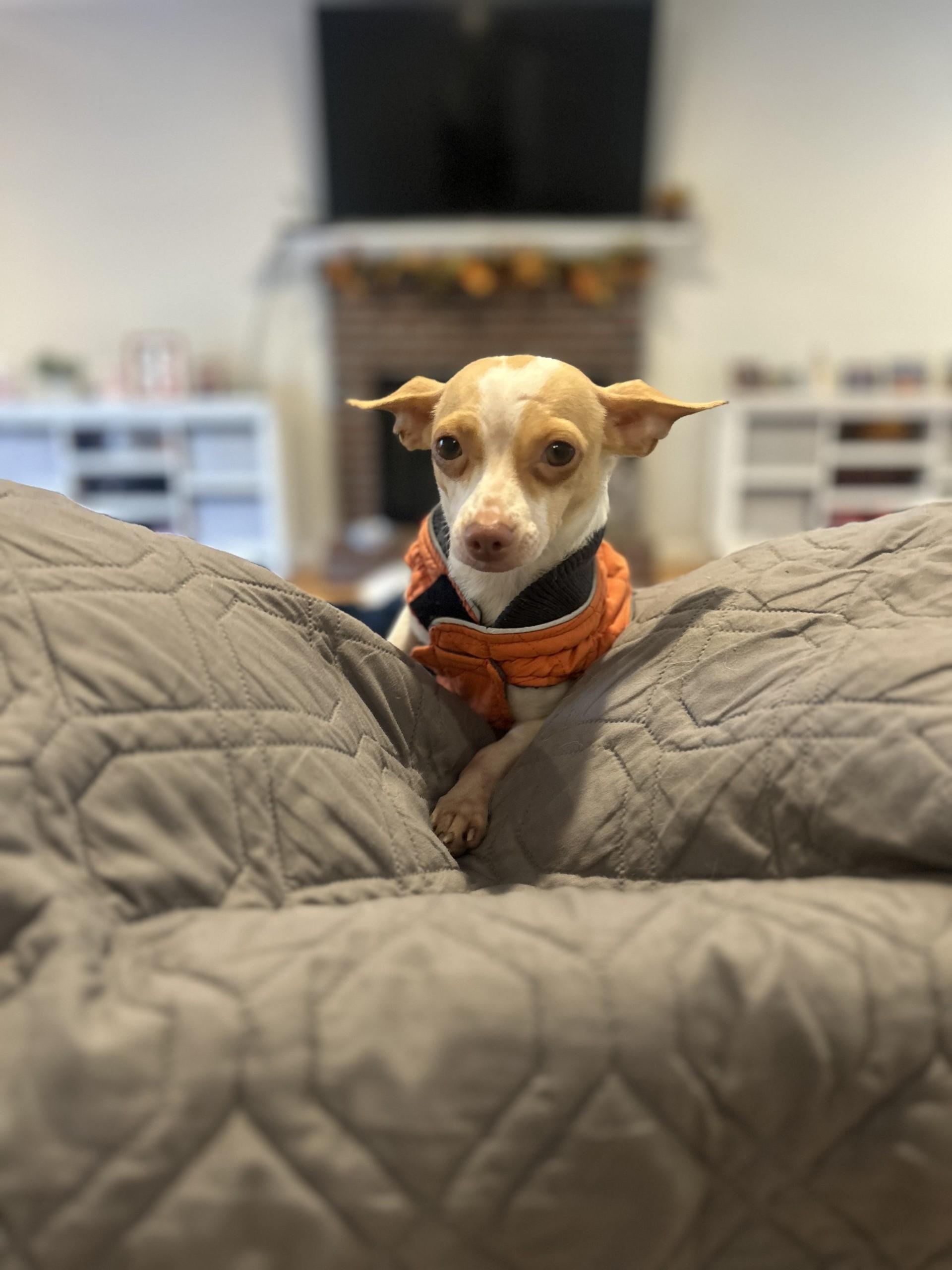 Princess (Beth-fostered in New England)