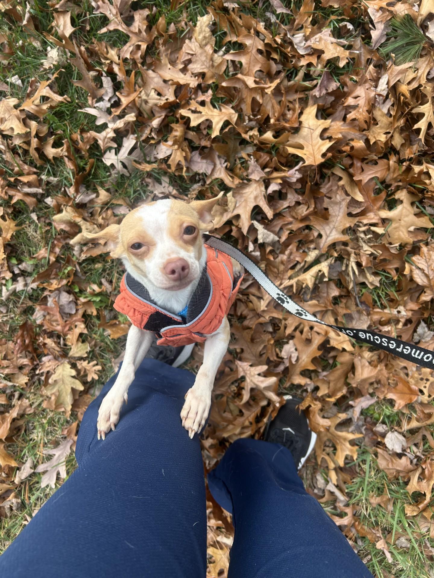 Princess (Beth-fostered in New England)