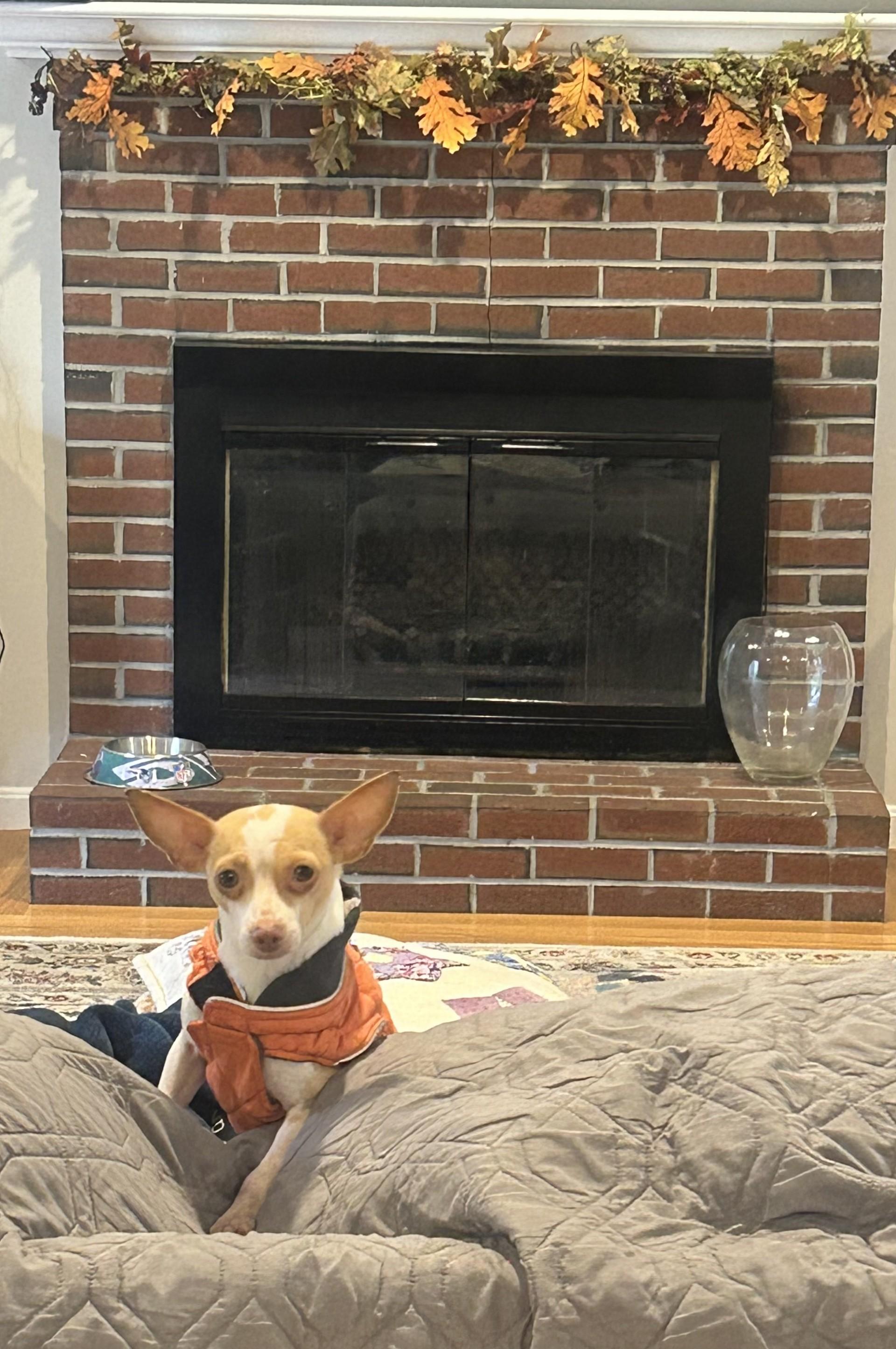 Princess (Beth-fostered in New England)