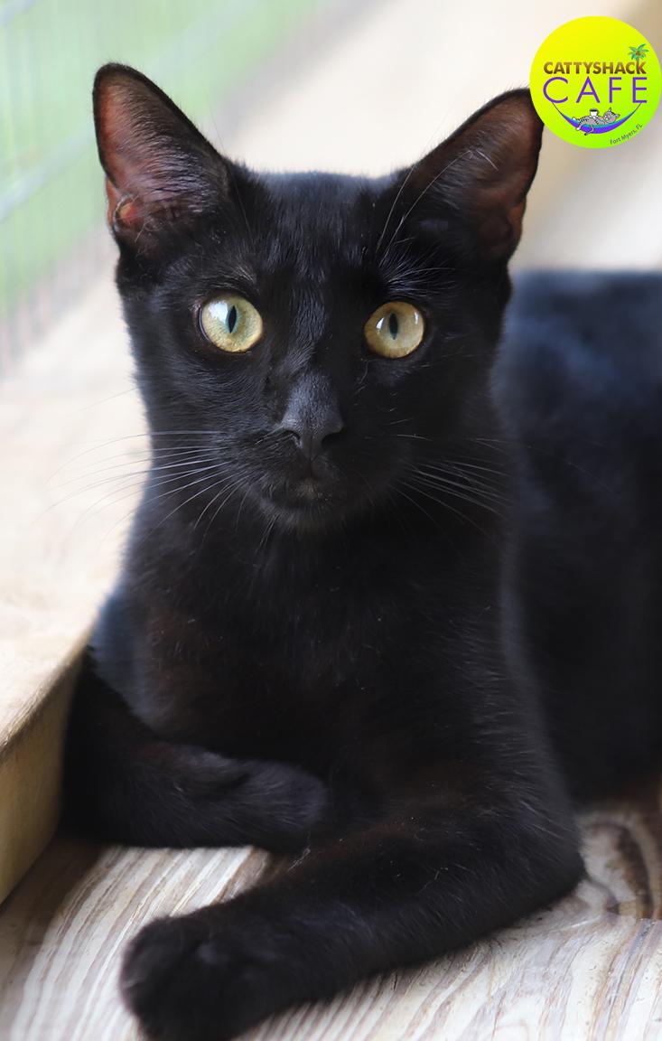Terry - CSC, Young Female unknown