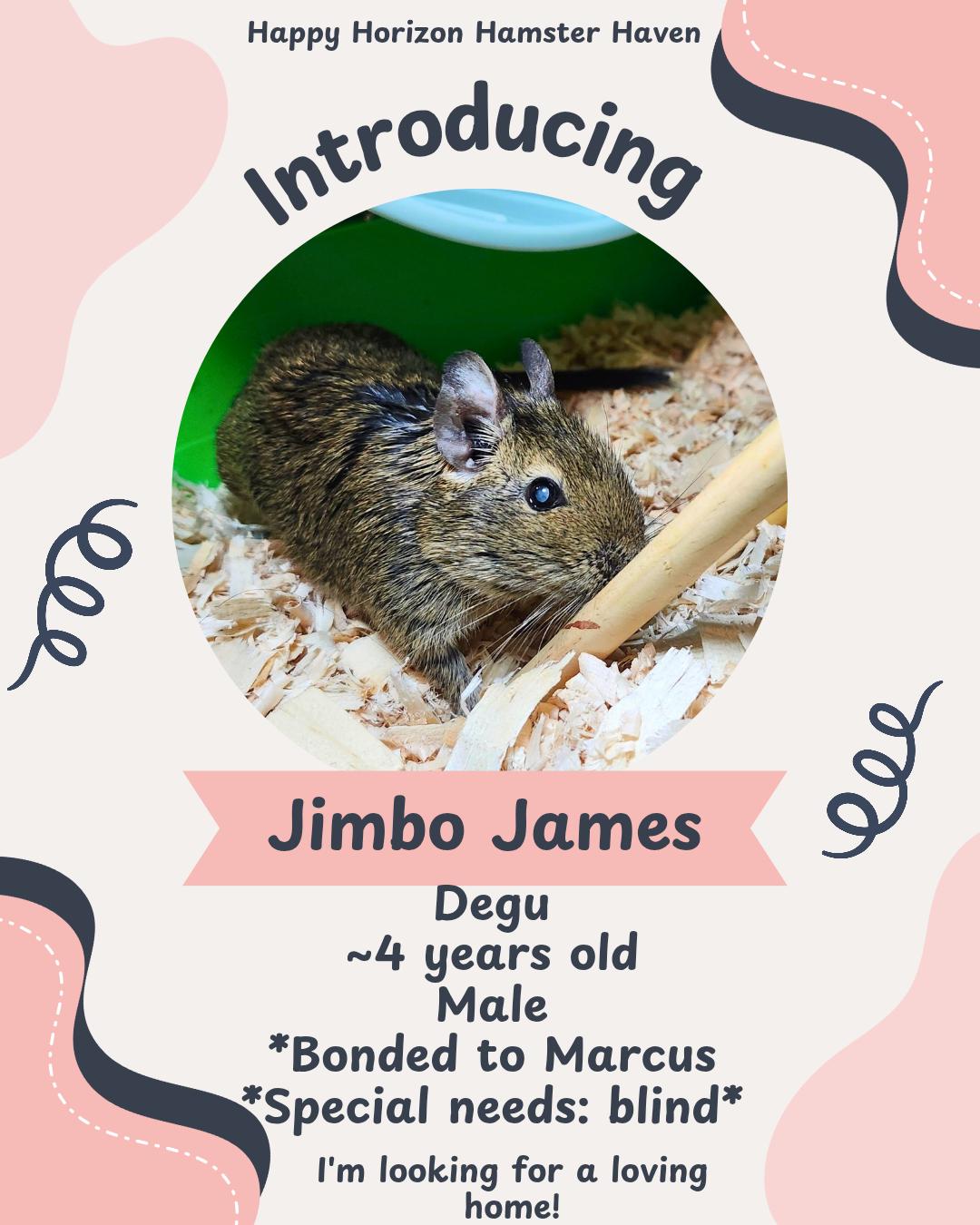 Marcus & Jimbo James