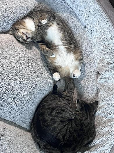 Ralph & Vennelope — thumbnail 2