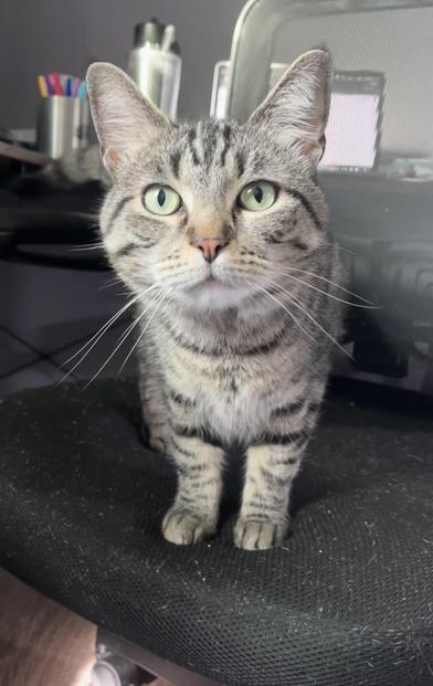 Ralph & Vennelope — thumbnail 3