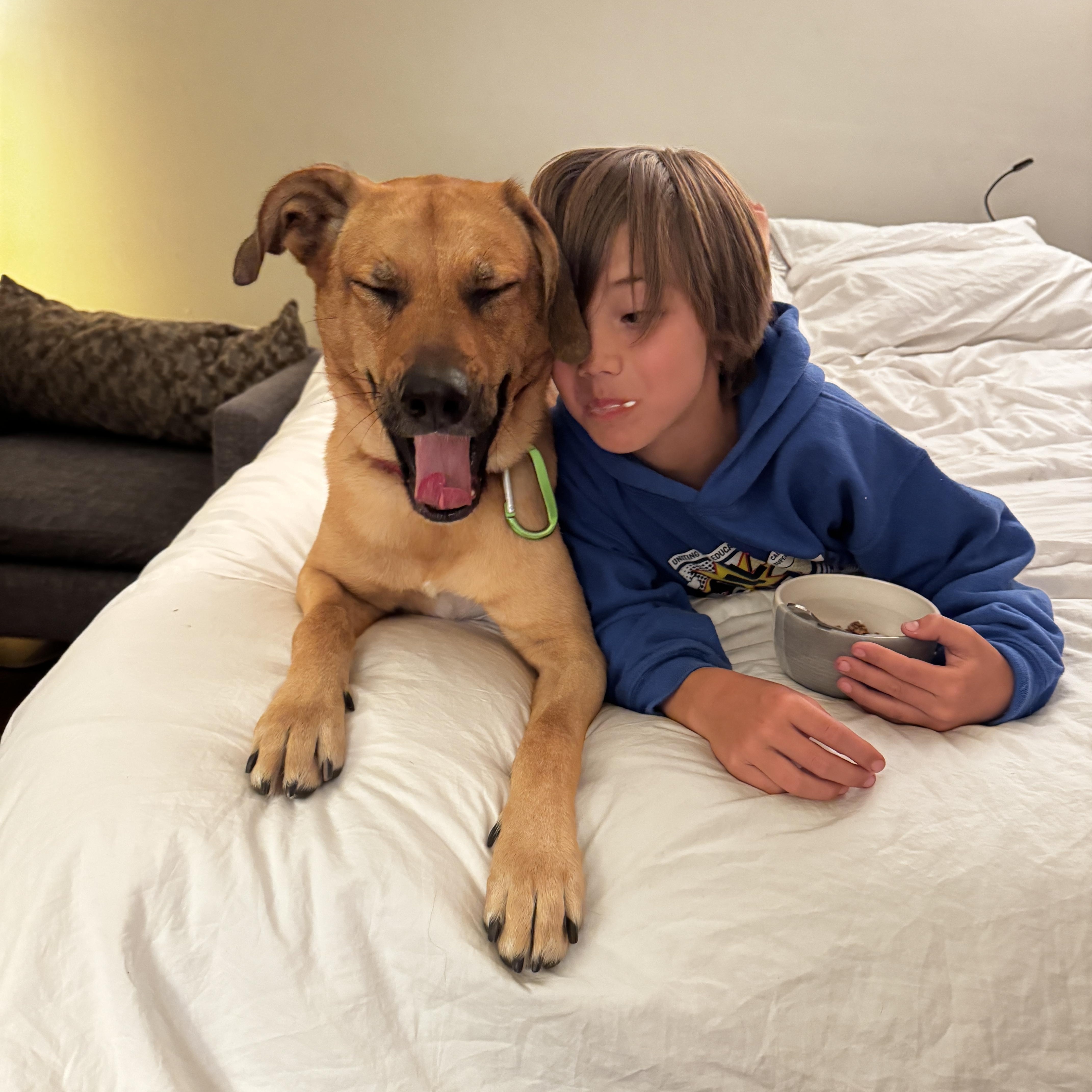 Simon, a Adoptable mixed breed in Sierra Madre, CA image 5/6