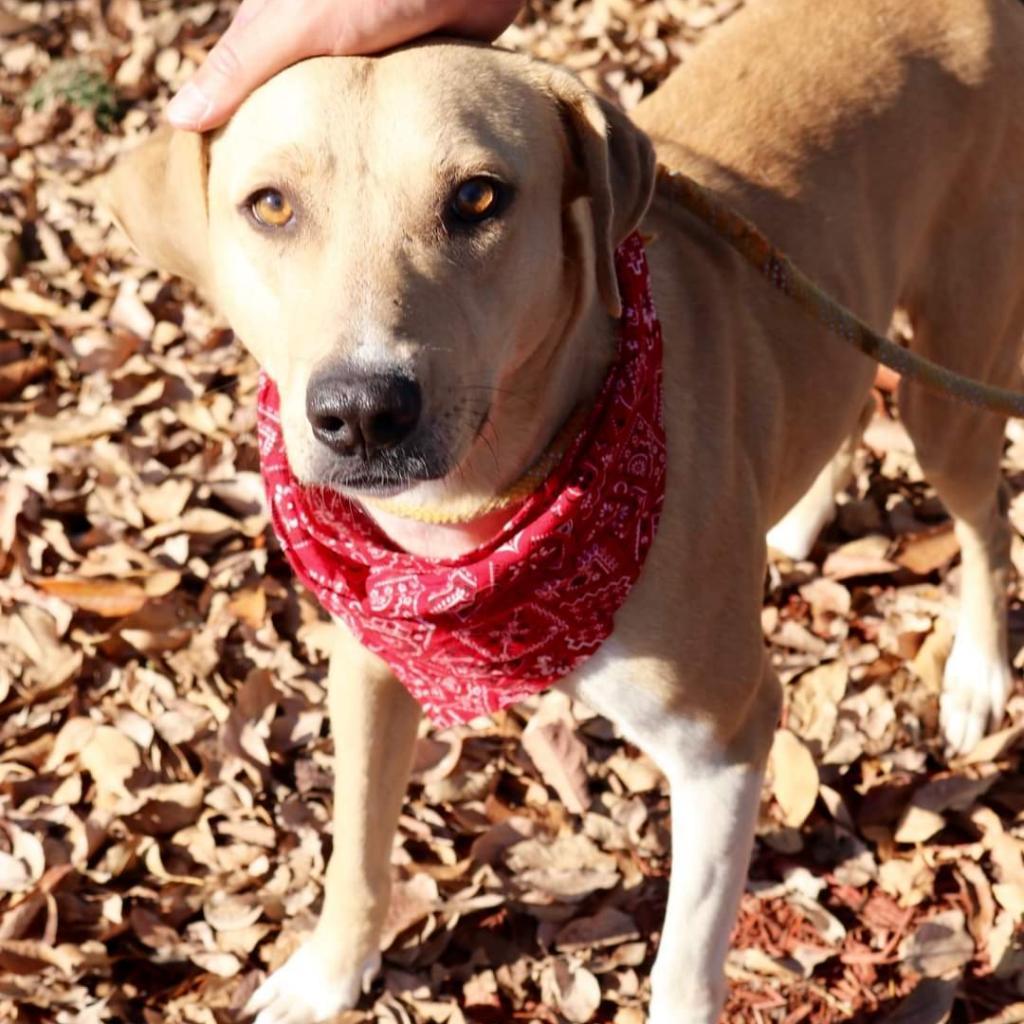 Mcmuffin Jum thumbnail 2