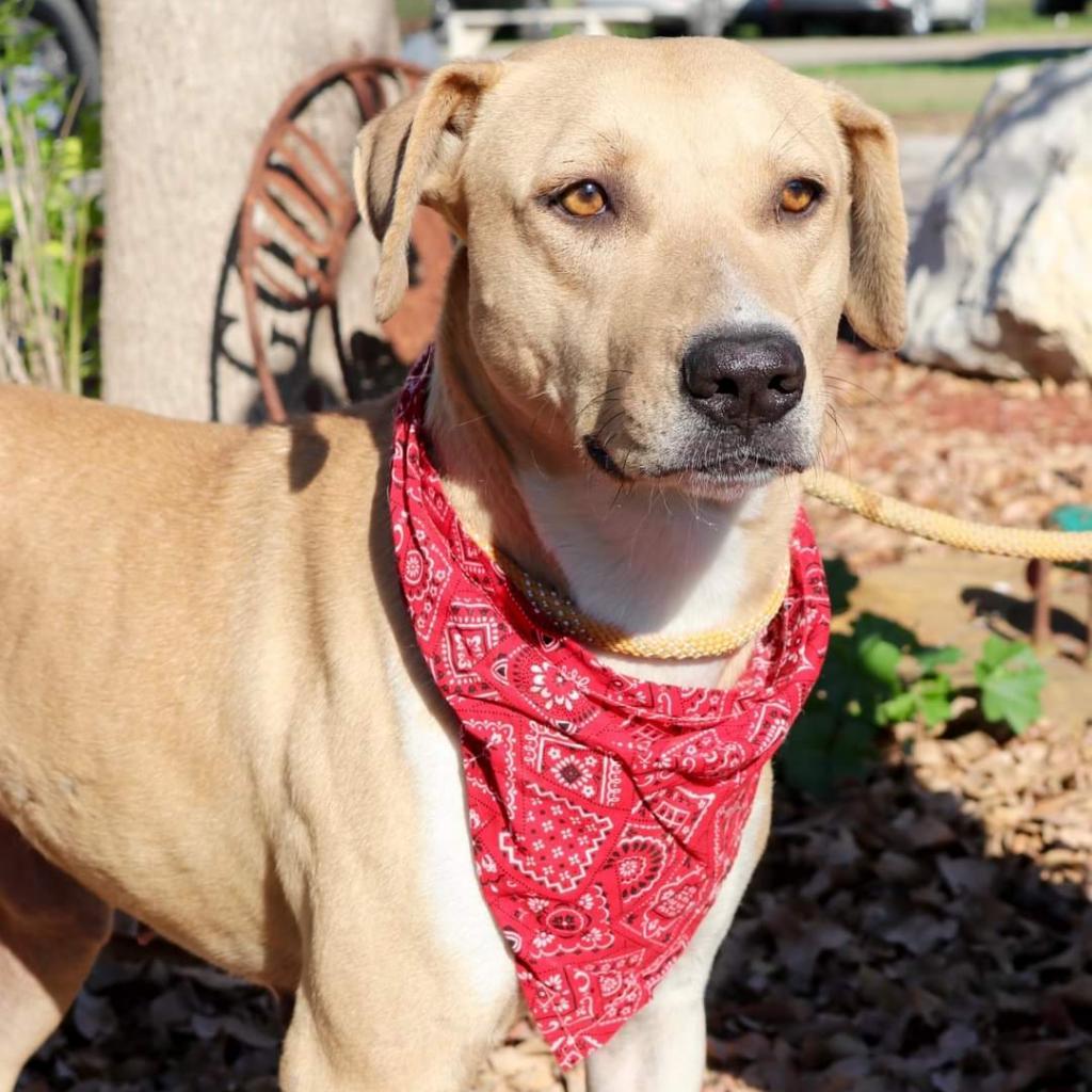 Mcmuffin Jum thumbnail 5