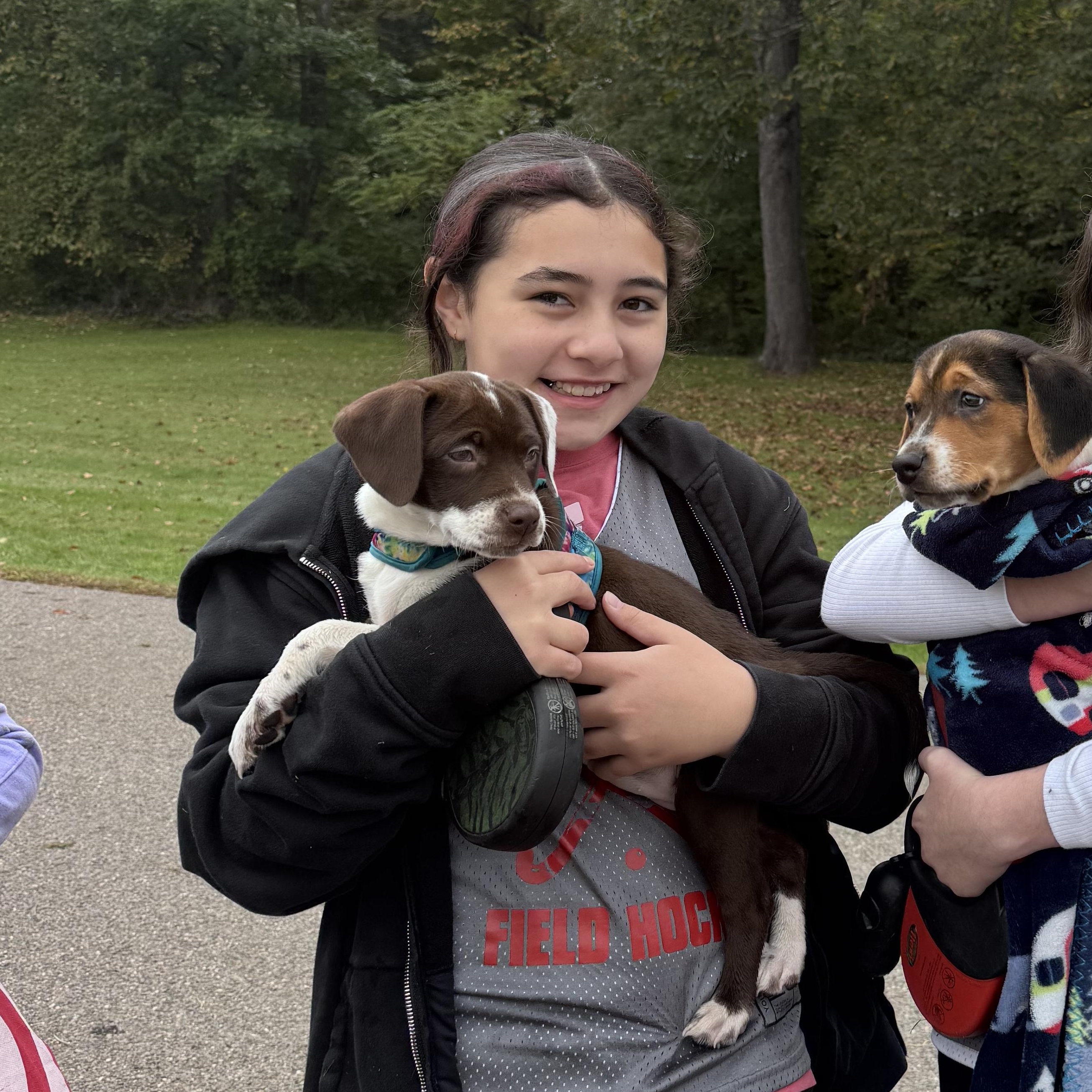 Enlarge Chocolate chip, a Adopted mixed breed in Newark valley, NY image 1/6