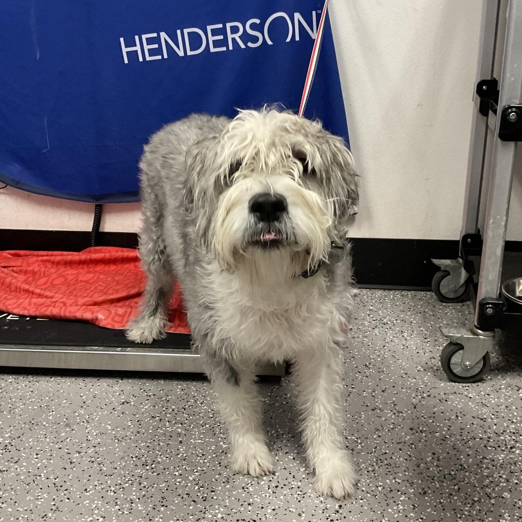 Haccstray thumbnail 2