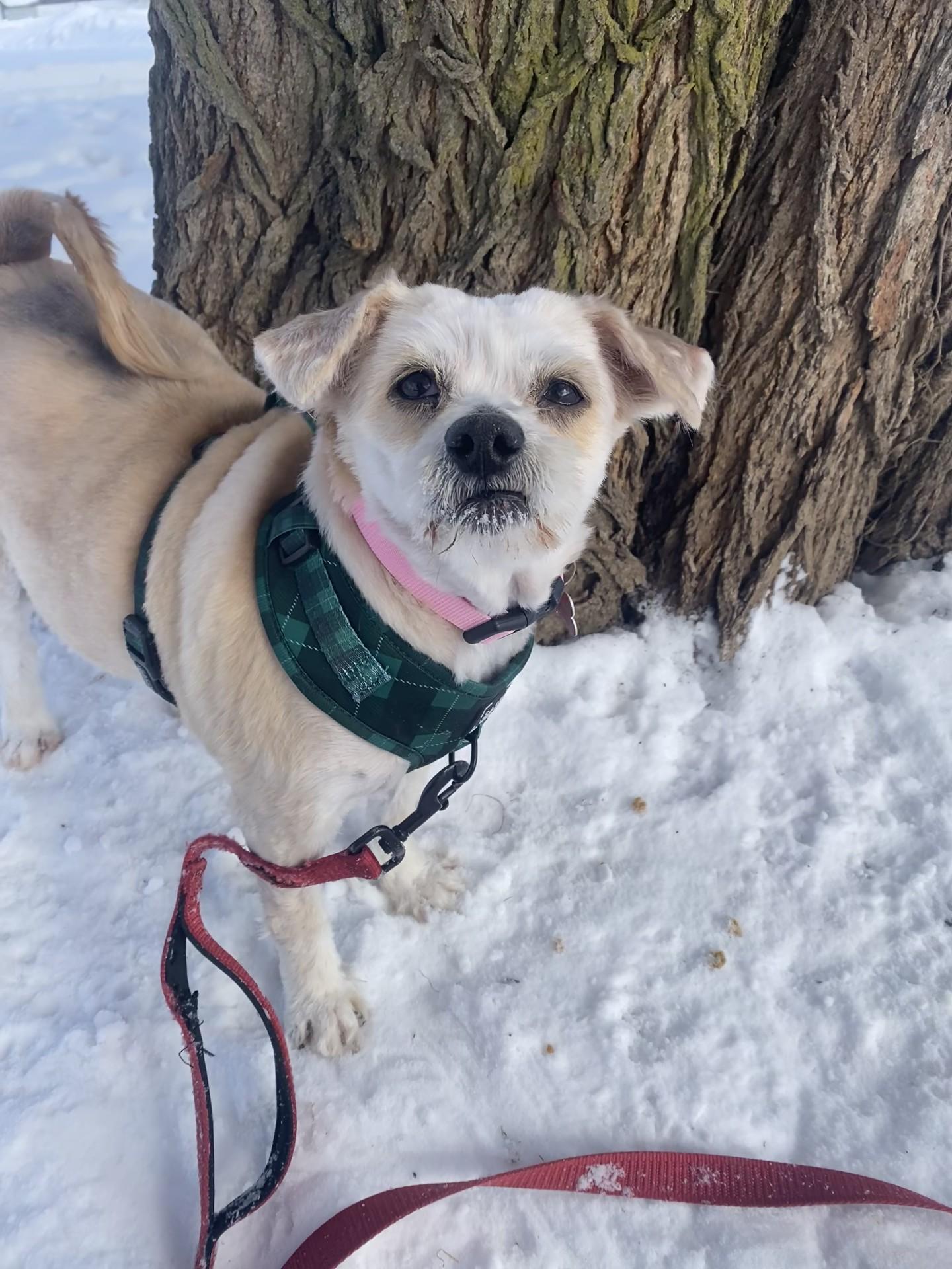 Trudy — thumbnail 2