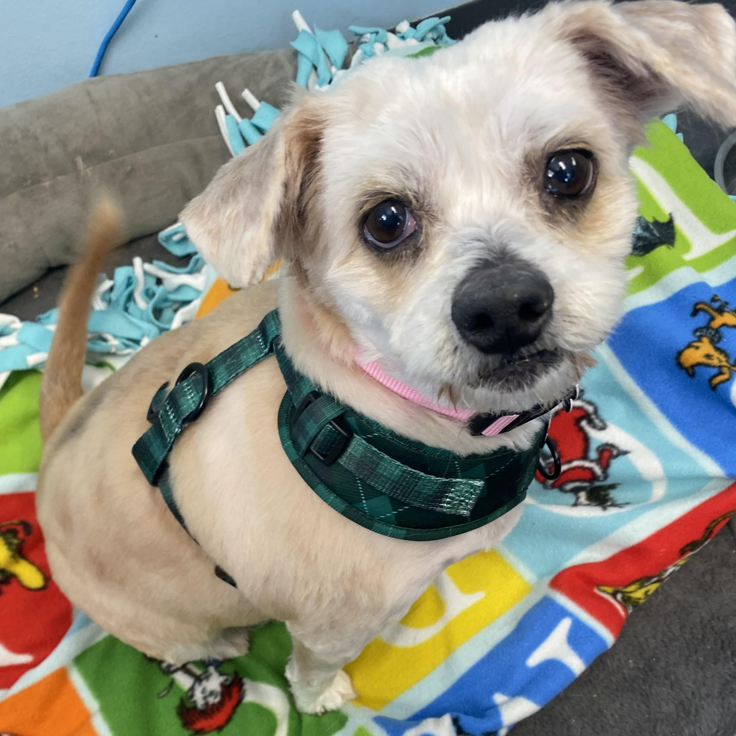 Trudy — thumbnail 3