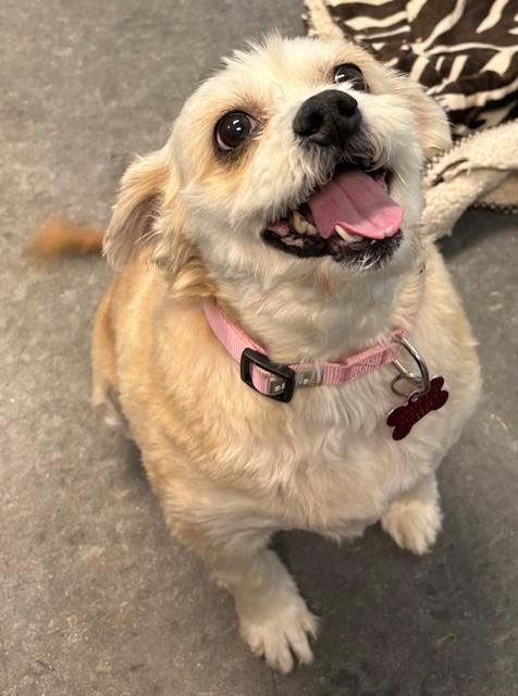 Trudy — thumbnail 4