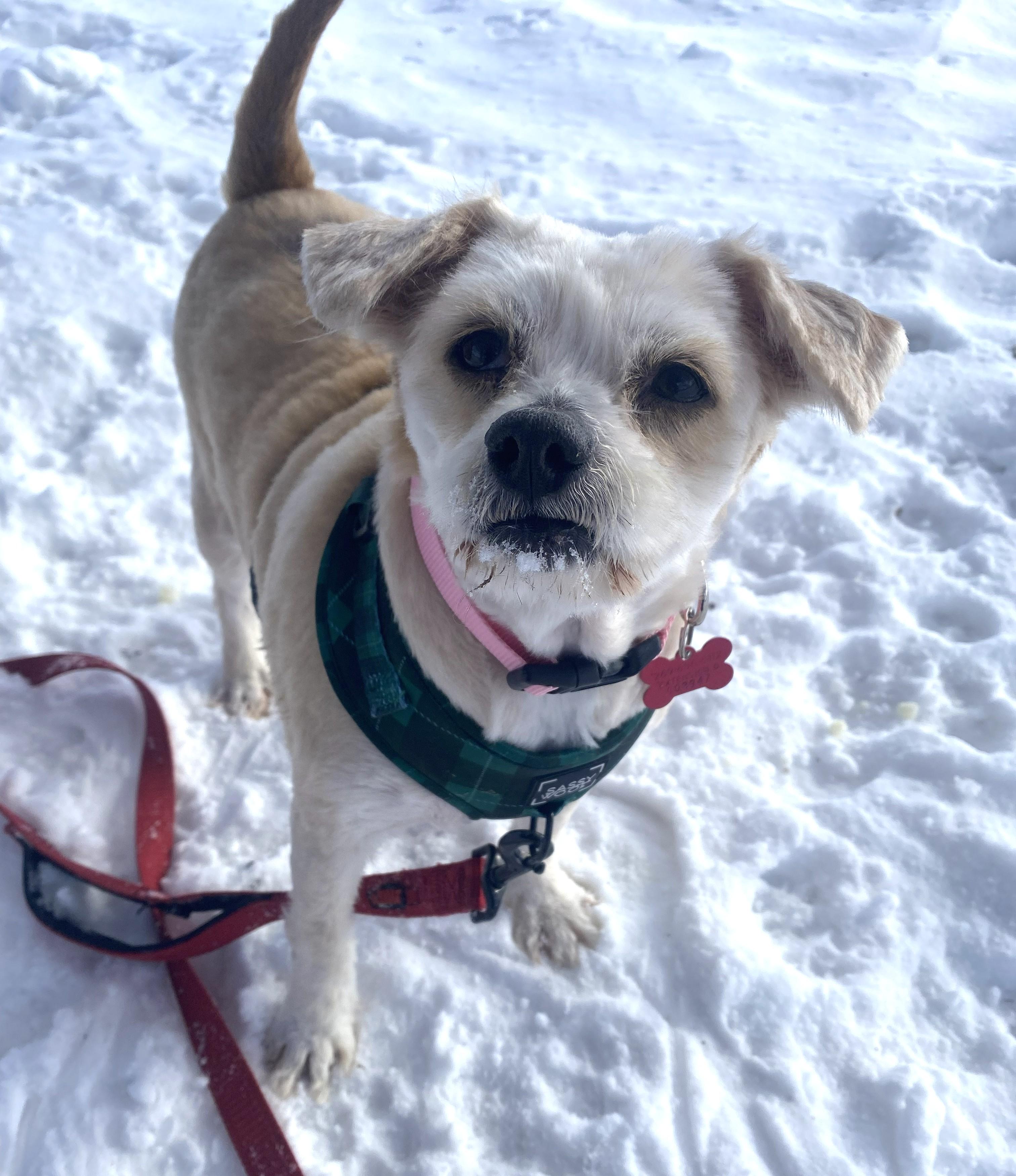 Trudy — thumbnail 5