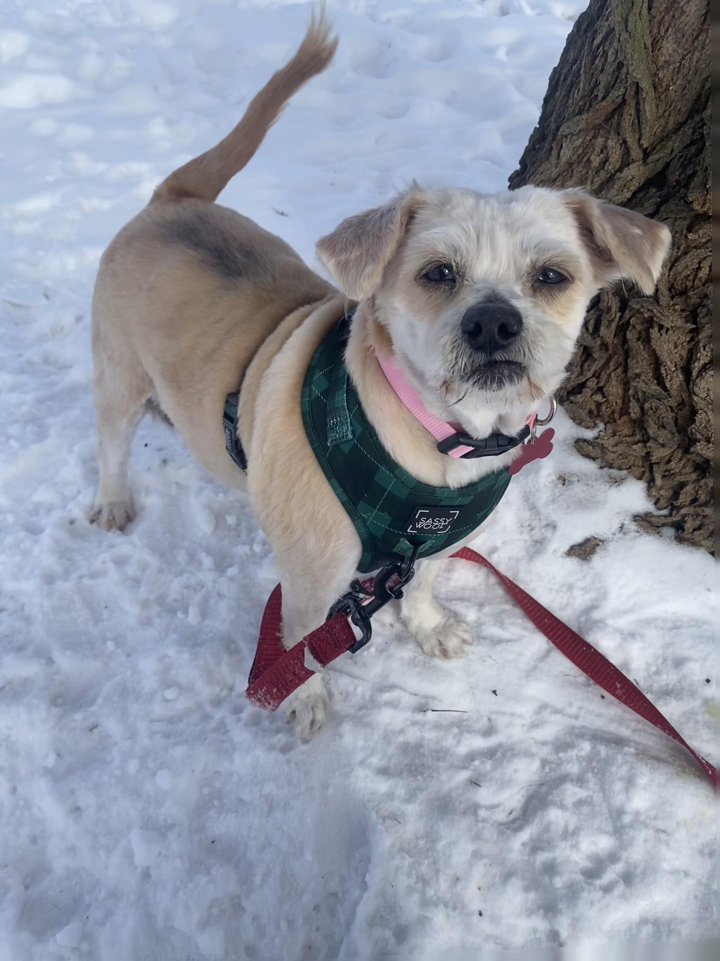 Trudy — thumbnail 6