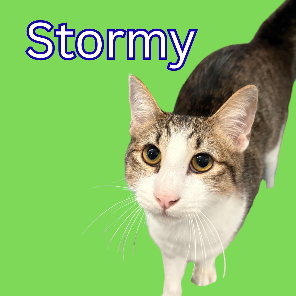 Stormy